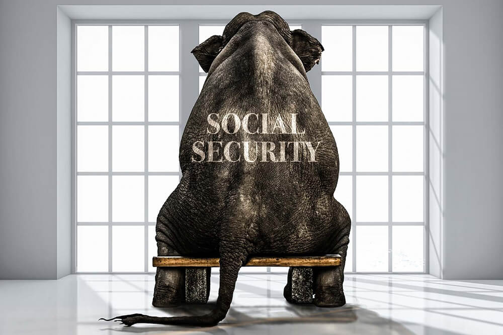 An elephant in the room with social security written on its back